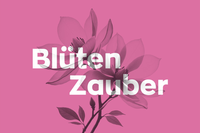 Blütenzauber am 2. - 3. Mai in der Gärtnerei Lebensart