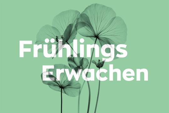 Frühlingserwachen in der Gärtnerei Lebensart